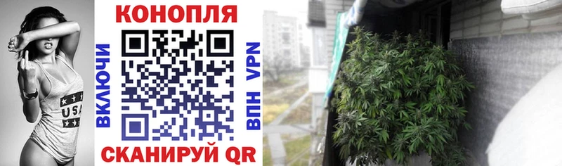 Где продают наркотики Чебаркуль Гашиш Псилоцибиновые грибы СК ссылка на мегу tor МАРИХУАНА АМФЕТАМИН Мефедрон БУТИРАТ