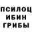 Псилоцибиновые грибы Psilocybine cubensis Anatol Shabalin