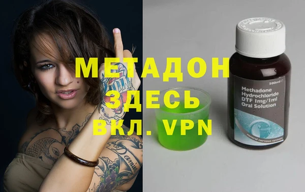 прущие грибы Покровск