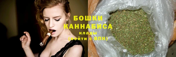 прущие грибы Покровск