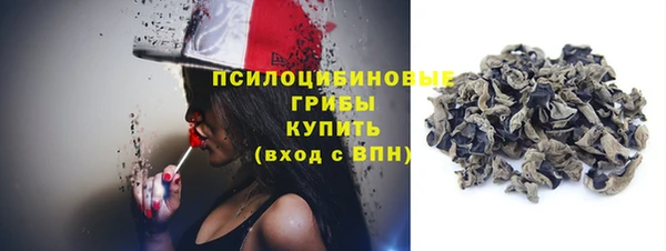прущие грибы Покровск