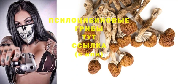 прущие грибы Покровск