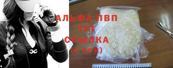 прущие грибы Покровск