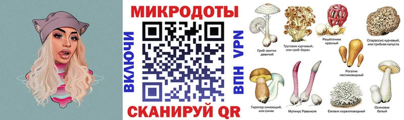 мориарти как зайти  Чебаркуль  Галлюциногенные грибы Psilocybe 
