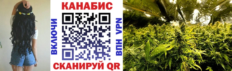 купить   Чебаркуль  Каннабис сатива 